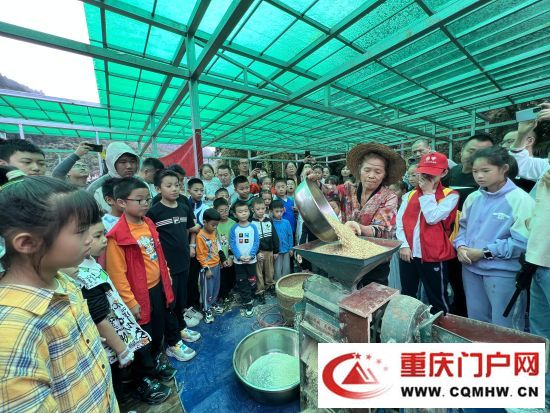 沙坪坝区青少年开展校外实践活动   走进山乡感受丰收乐趣(1)