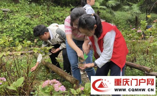 沙坪坝区青少年开展校外实践活动   走进山乡感受丰收乐趣(2)