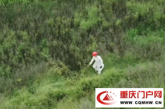 点亮山城·一路有你㉗电网“女尖兵”:读得懂“土语”,看得透“岩色”(图1) 点亮山城·一路有你㉗电网“女尖兵”:读得懂“土语”,看得透“岩色”(1)