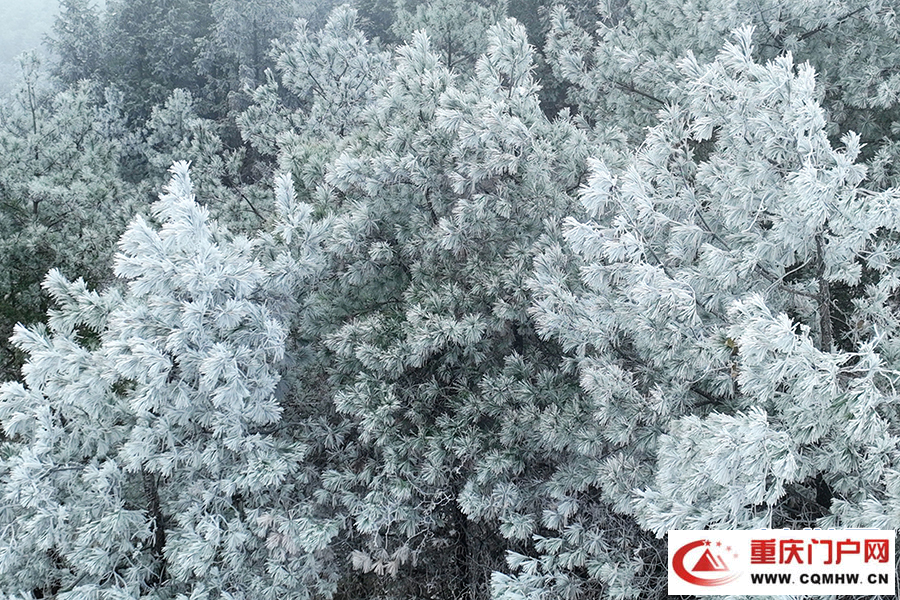 重庆酉阳：雪落天山堡 美景入画来(6)