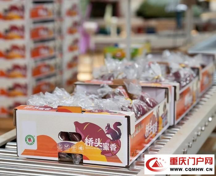 桥头地瓜,竟是“地瓜界的爱马仕”(19) 桥头地瓜,竟是“地瓜界的爱马仕”(19)