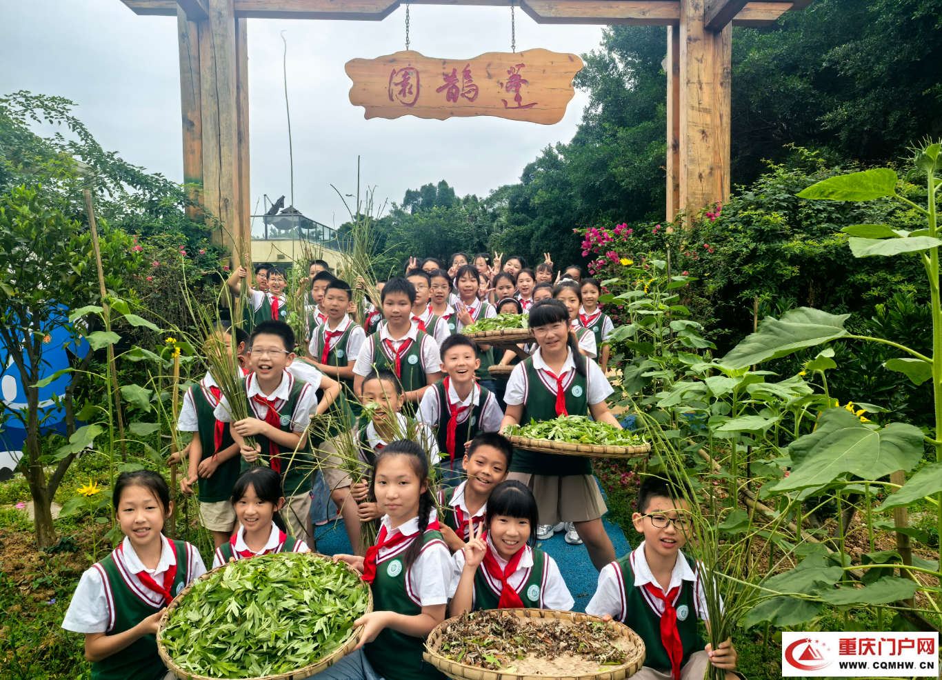 重庆南岸：这所小学将中医药文化浸润课堂内外(2)